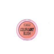Callista Color Art Blush No:180 Pink Perfection Allık