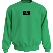 Calvin Klein 000NM2458E Yeşil L/S Erkek Sweatshirt