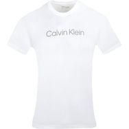 Calvin Klein 403G223-122 Erkek T-shirt
