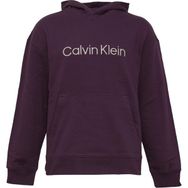 Calvin Klein 40HM231-501 Shadow Mor Erkek Sweatshirt