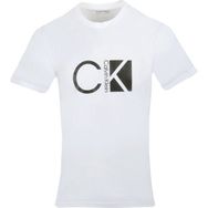 Calvin Klein 40HM878-540 Erkek T-shirt