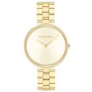 Calvin Klein CK25100014 Kadın Kol Saati
