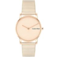Calvin Klein CK25100036 Kadın Kol Saati