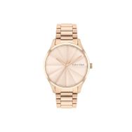 Calvin Klein CK25200231 Kol Saati