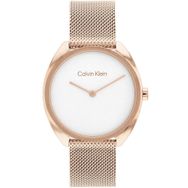 Calvin Klein CK25200270 Kadın Kol Saati