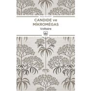 Candide ve Mikromegas - Voltaire