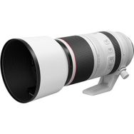 Canon RF100-500 mm F4.5-7.1 L IS USM Lens