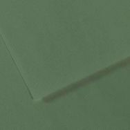 Canson GRN 190 Dokulu Mi-Teintes Sh Canmt 50x65 CM 160 GR Fon Kartonu