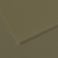 Canson Mi-Teintes 191 Vert Olive 50x65 cm 160 gr Fon Kartonu