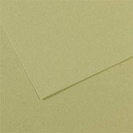 Canson Sh Canmt 50x65 cm 160 gr Green 480 10'lu Fon Kartonu