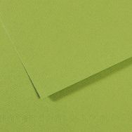Canson Sh Canmt 50x65 CM 160 GR Pastel Dokulu GRN 475 10'lu Fon Kartonu