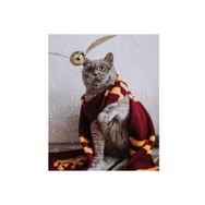 Canvas Hobby Atkılı Kedi 70 x 90 cm Kasnaklı Sayılarla Boyama Seti