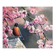 Canvas Hobby Bahar ve Kuşlar 2 Kasnaklı 90 x 110 cm Sayılarla Boyama Seti