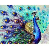 Canvas Hobby Bereket Tavus Kuşu Rulo 100 x 140 cm Sayılarla Boyama Seti