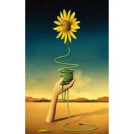 Canvas Hobby Canvas Arnika 50x65 cm Rulo Sayılarla Boyama Seti