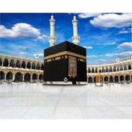 Canvas Hobby Canvas Kabe 50x65 cm Rulo Sayılarla Boyama Seti
