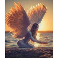 Canvas Hobby Canvas Kanatlı Kadın 90 x 110 cm Kasnaklı Sayılarla Boyama Seti