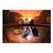 Canvas Hobby Canvas Kedilerin Yansıması 90 x 110 cm Kasnaklı Sayılarla Boyama Seti