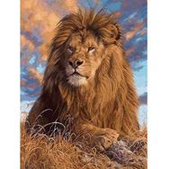 Canvas Hobby Canvas Lider Aslan 40 x 50 cm Kasnaklı Sayılarla Boyama Seti