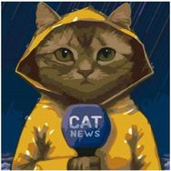 Canvas Hobby Canvas Muhabir Kedi 40 x 50 cm Kasnaklı Sayılarla Boyama Seti