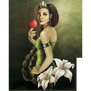 Canvas Hobby Canvas Nar Tanesi 60 x 75 cm Kasnaklı Sayılarla Boyama Seti