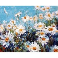 Canvas Hobby Canvas Papatya Tarlası 60 x 75 cm Kasnaklı Sayılarla Boyama Seti