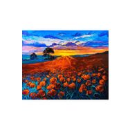 Canvas Hobby Canvas Turuncu Çiçek Tarlası 90 x 110 cm Rulo Sayılarla Boyama Seti