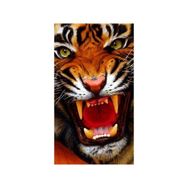 Canvas Hobby Canvas Vahşi Kaplan 2 40x50 cm Kasnaklı Sayılarla Boyama Seti