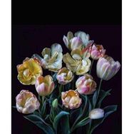 Canvas Hobby Canvas Yaşam Çiçeği 40x50 cm Kasnaklı Sayılarla Boyama Seti