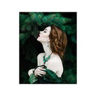 Canvas Hobby Canvas Yeşil Çam Modeli 90 x 110 cm Kasnaklı Sayılarla Boyama Seti