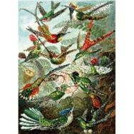 Canvas Hobby Canvas Yeşil Kuş Cenneti 90 x 110 cm Rulo Sayılarla Boyama Seti