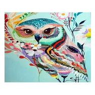 Canvas Hobby Desenli Baykuş 50 x 65 cm Kasnaklı Sayılarla Boyama Seti Duvar Sticker