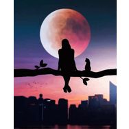 Canvas Hobby Dolunayda Manzara Keyfi Kasnaklı 90x110 cm Sayılarla Boyama Seti