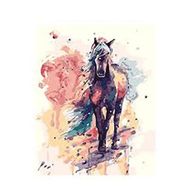 Canvas Hobby Düşlerdeki At 50 x 65 cm Kasnaklı Sayılarla Boyama Seti Duvar Sticker