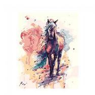 Canvas Hobby Düşlerdeki At Rulo 40 x 50 cm Sayılarla Boyama Seti