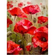 Canvas Hobby Gelincik Tarlası 40 x 50 cm Kasnaklı Sayılarla Boyama Seti Duvar Sticker
