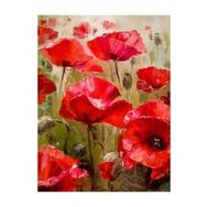 Canvas Hobby Gelincik Tarlası 70 x 90 cm Kasnaklı Sayılarla Boyama Seti Duvar Sticker