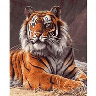 Canvas Hobby Güçlü Kaplan Kasnaklı 40x50 cm Sayılarla Boyama Seti