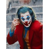 Canvas Hobby Joker 17 100x140 cm Rulo Sayılarla Boyama Seti