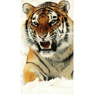 Canvas Hobby Kardaki Kaplan 100x140 cm Rulo Sayılarla Boyama Seti