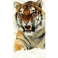 Canvas Hobby Kardaki Kaplan Kasnaklı 100 x 140 cm Sayılarla Boyama Seti