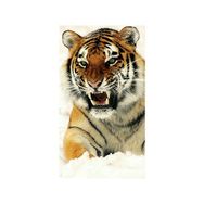 Canvas Hobby Kardaki Kaplan Rulo 40 x 50 cm Sayılarla Boyama Seti