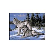 Canvas Hobby Kasnaklı 50 x 65 cm Kurt Bakışı Sayılarla Boyama Seti
