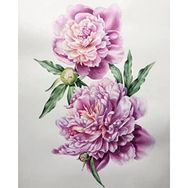 Canvas Hobby Kasnaklı 50 x 65 cm Pembe Çiçekler Sayılarla Boyama Seti