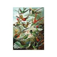 Canvas Hobby Kasnaklı 70 x 90 cm Yeşil Kuş Cenneti Sayılarla Boyama Seti
