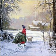 Canvas Hobby Kış Manzarası Kasnaklı 40x50 cm Sayılarla Boyama Seti