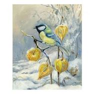 Canvas Hobby Kış ve Kuş Kasnaklı 70x90 cm Sayılarla Boyama Seti