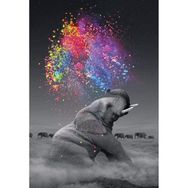 Canvas Hobby Renk Yağmuru ve Fil Kasnaklı 100 x 140 cm Sayılarla Boyama Seti