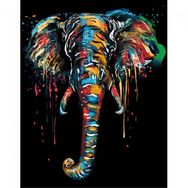 Canvas Hobby Renklerin Fili 40x50 cm Rulo Sayılarla Boyama Seti