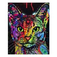Canvas Hobby Renkli Kedi 3 40 x 50 cm Rulo Sayılarla Boyama Seti